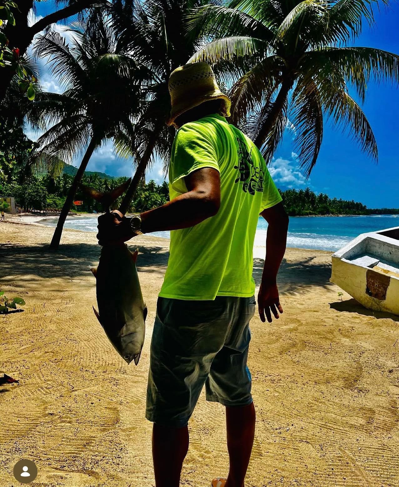 Ocean King photo 4